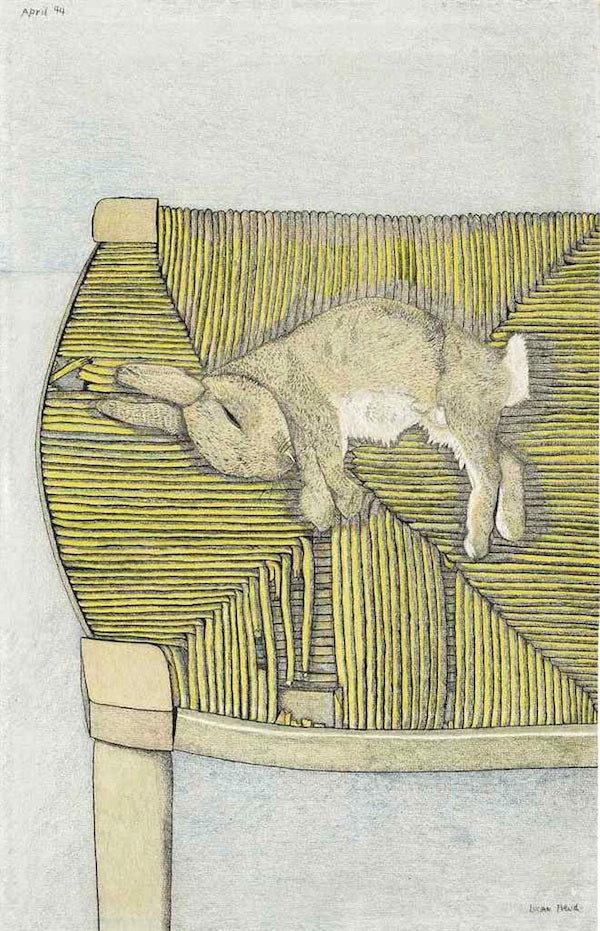 Rabbit on a Chair, Beautiful Still Life by Lucian Freud