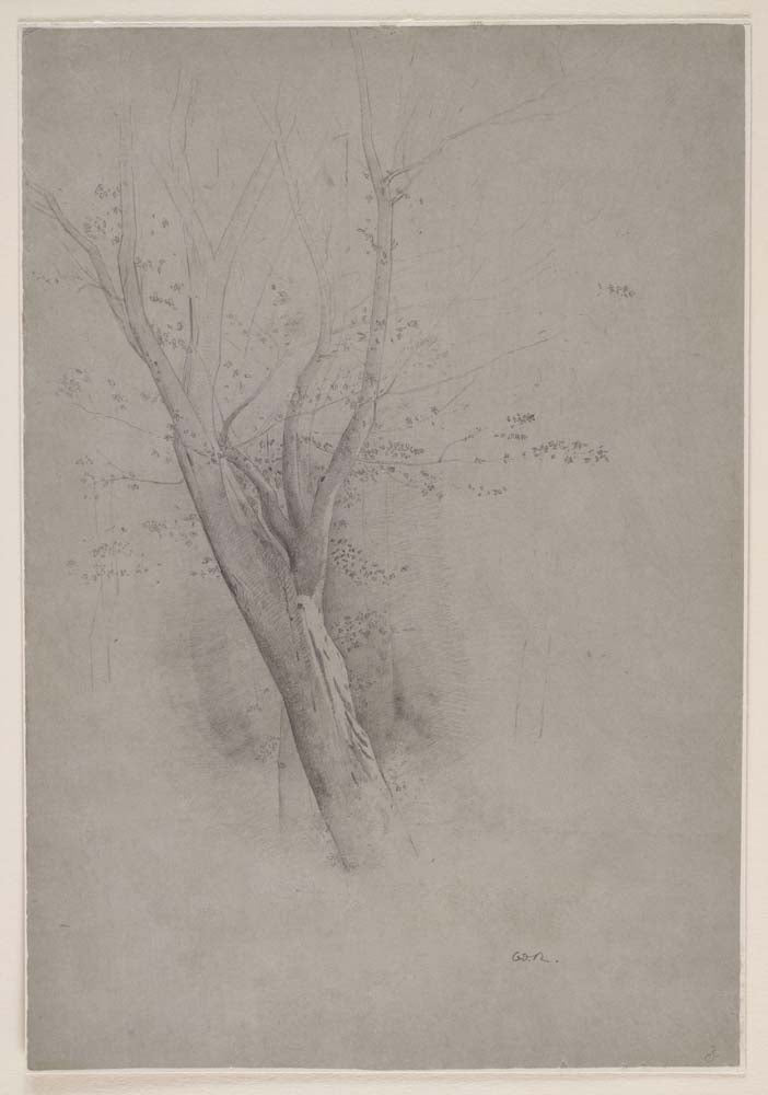Odilon Redon - Trees, modernist poster print A2 poster print