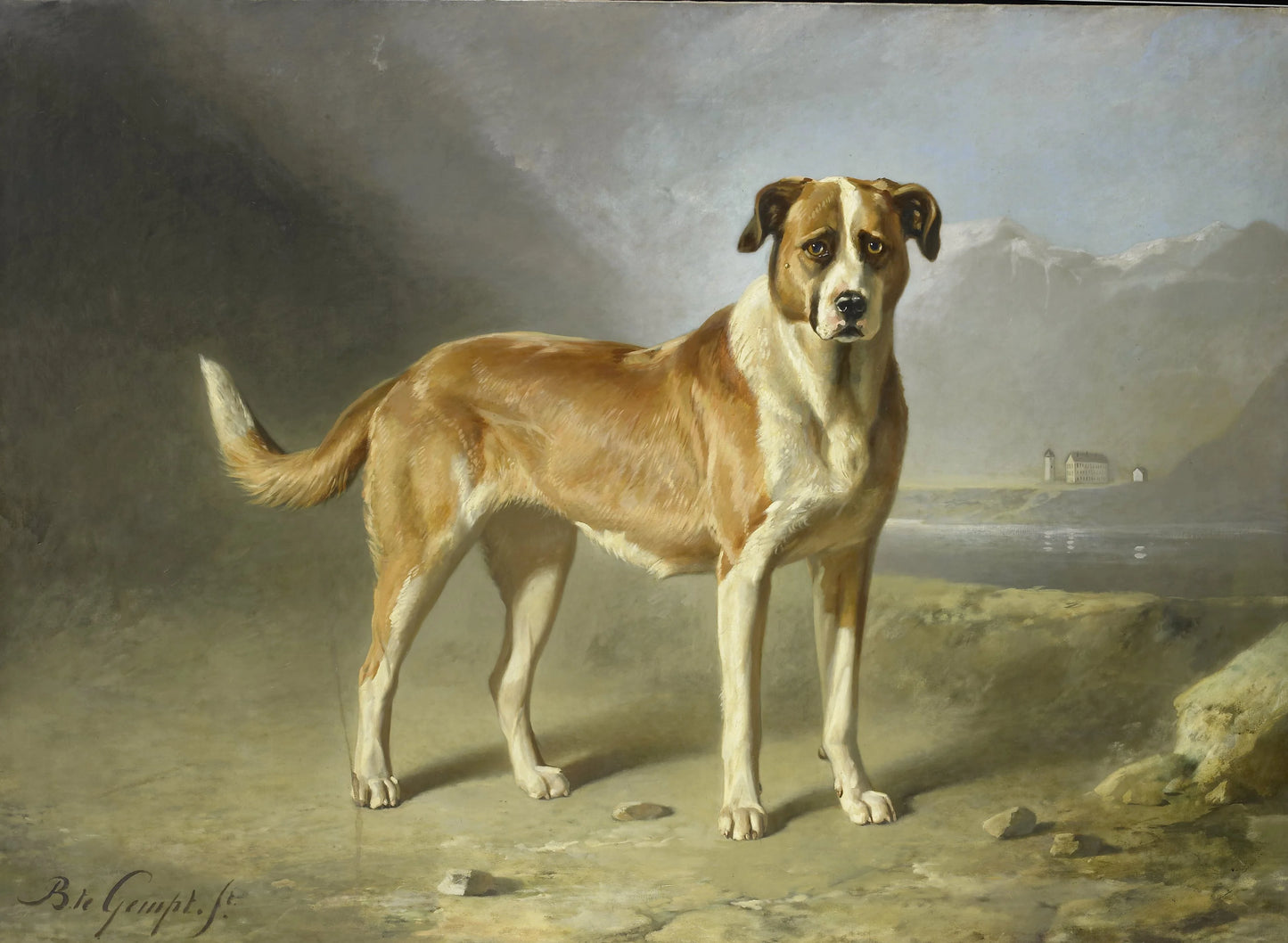 A St Bernard Dog – Bernard te Gempt Vintage Animal Study Art Print | Wall Art Poster