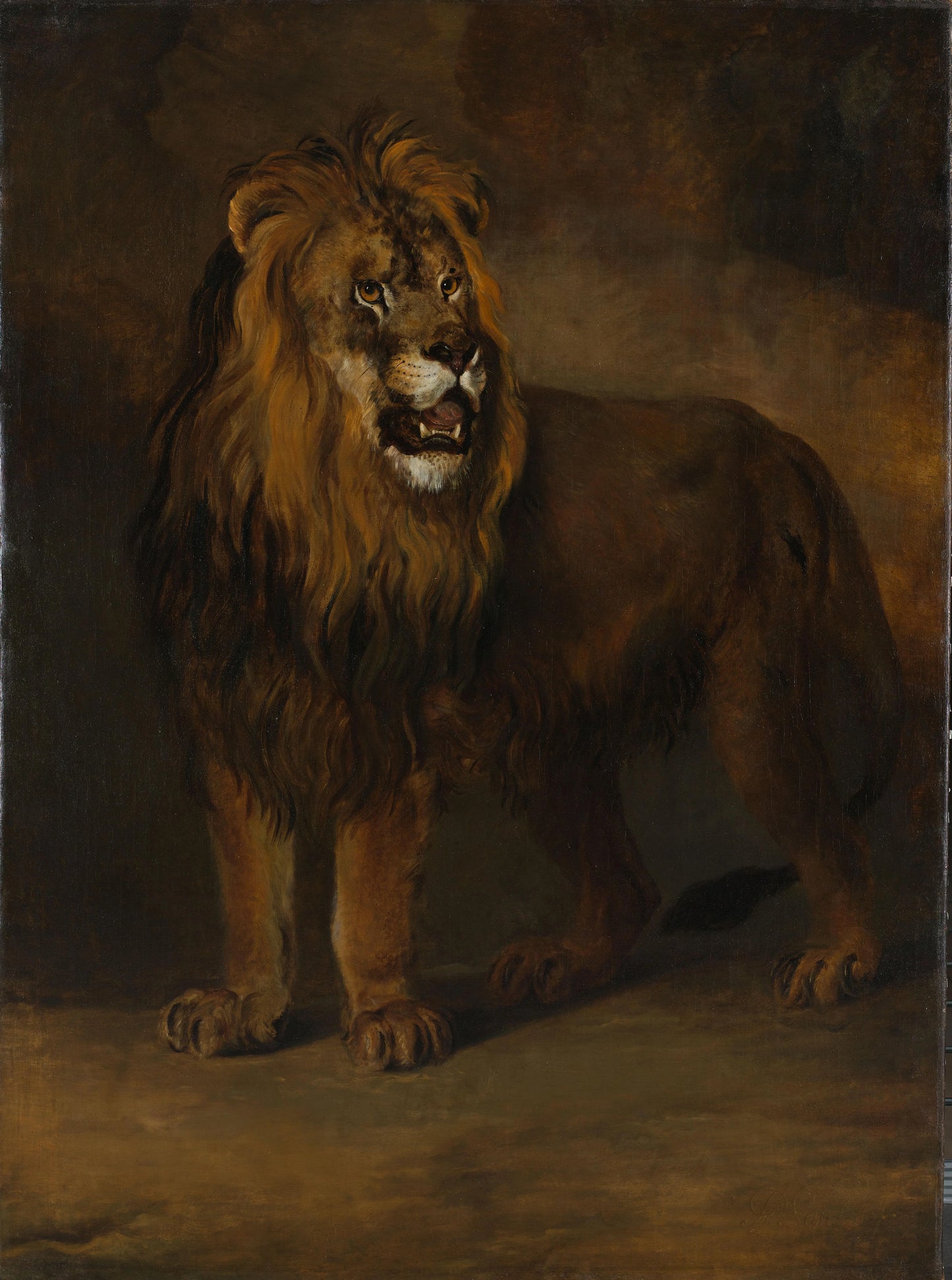A Lion from the Menagerie of King Louis Napoleon, 1808 – Pieter Gerardus van Os Vintage Animal Study Art Print | Wall Art Poster
