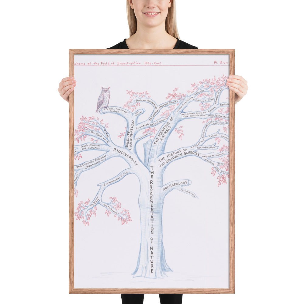 Scheme of the Field of Investigation. 1986-2003 by Mark Dion, Framed poster