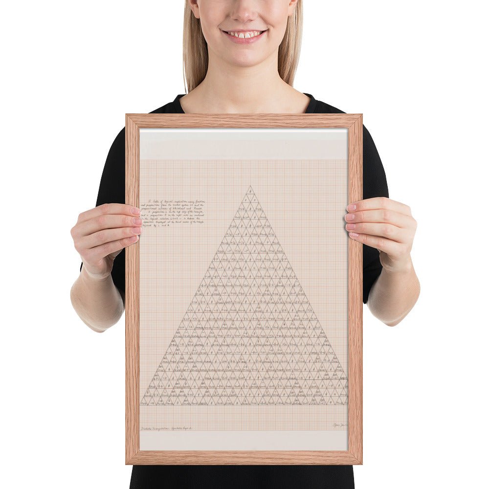 The Human Argument by Agnes Denes, Framed poster