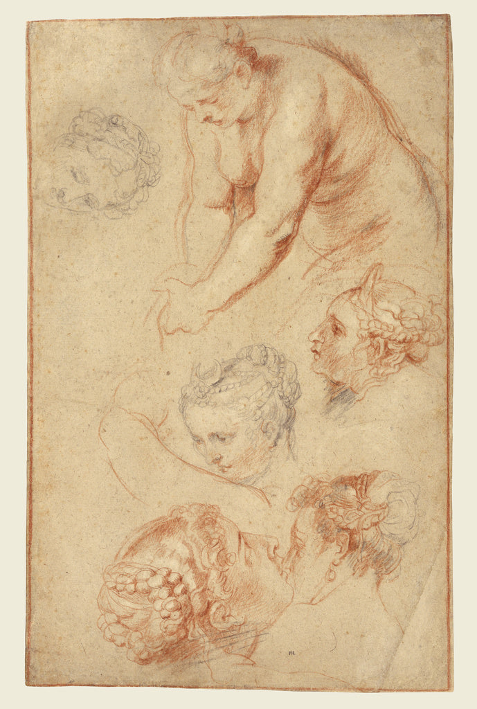 Peter Paul Rubens:Studies of Women, Poster Print Wall Art
