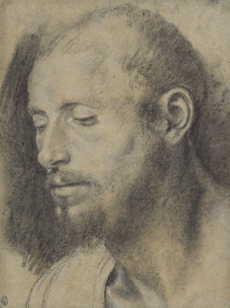 Giovanni Girolamo Savoldo , about 1480 - after 1548):Study o, Poster Print Wall Art