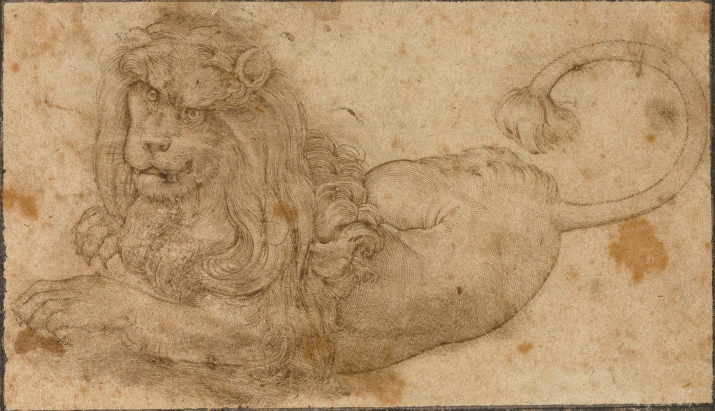 Lucas Cranach the Elder:Study of a Lion, Poster Print Wall Art