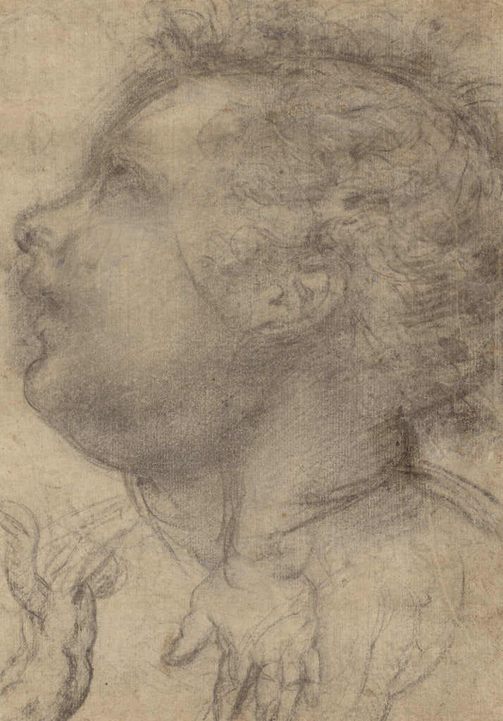 Fra Bartolommeo :Head of a Child, an Angel and a Hand (recto, Poster Print Wall Art