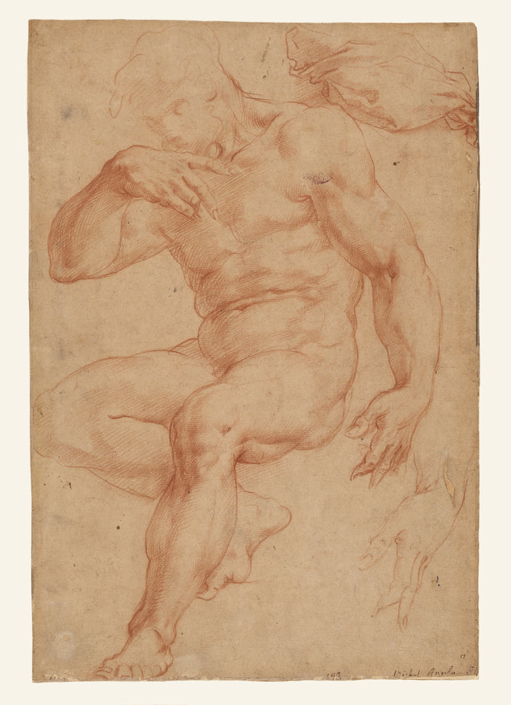 Giorgio Vasari:Studies of a Male Nude, a Drapery, and a Hand, Poster Print Wall Art