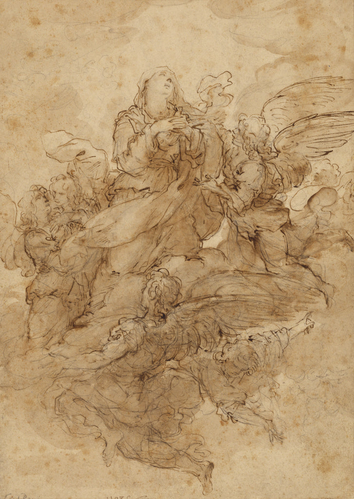 Pier Francesco Cittadini:The Assumption of the Virgin, Poster Print Wall Art