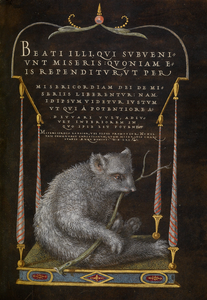 Joris Hoefnagel:A Sloth, Poster Print Wall Art