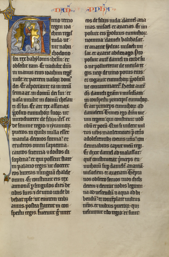 Unknown:Initial A: Daniel in the Lions' Den, Poster Print Wall Art
