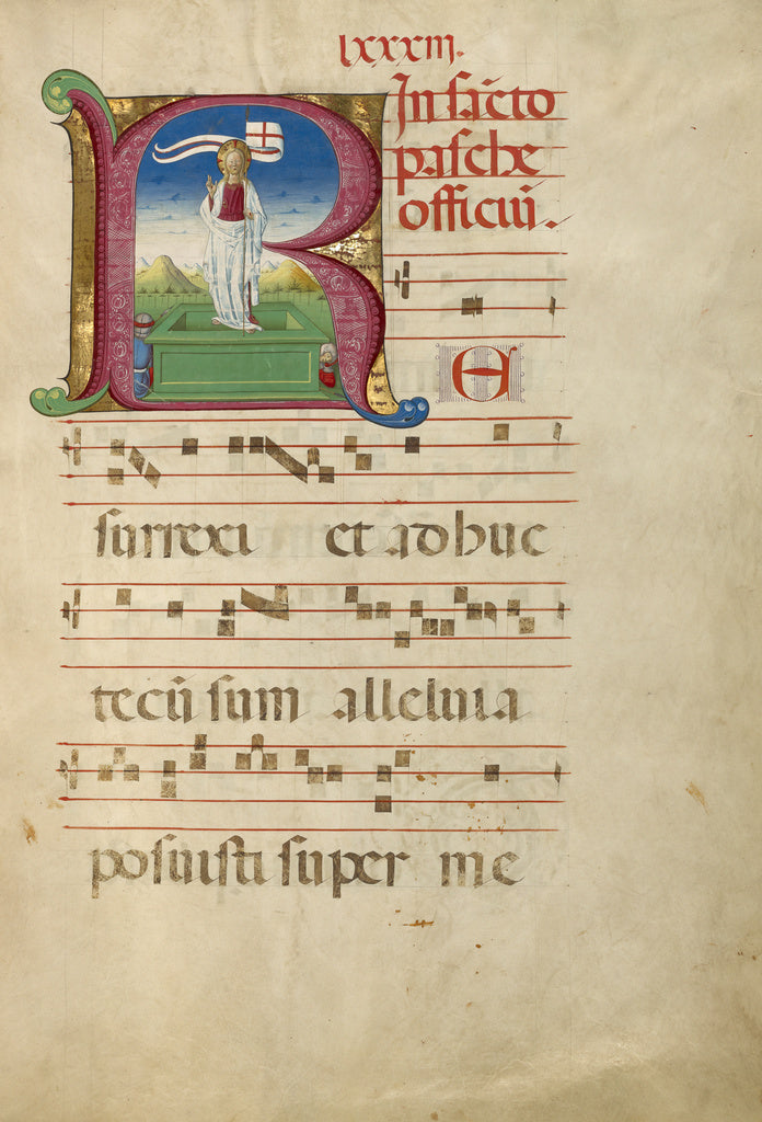 Unknown:Initial R: The Resurrection, Poster Print Wall Art
