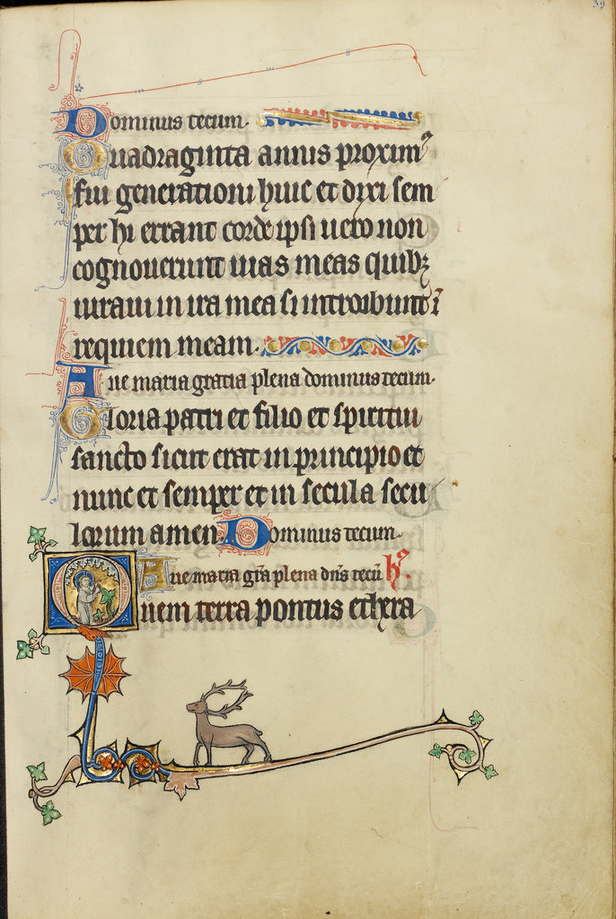 Unknown:Initial Q: The Creation of Plants, Poster Print Wall Art
