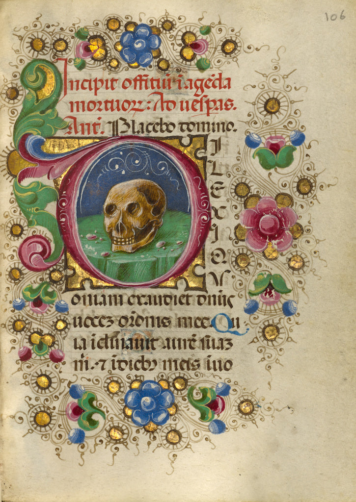 Taddeo Crivelli:Initial D: A Skull in a Rocky Field, Poster Print Wall Art