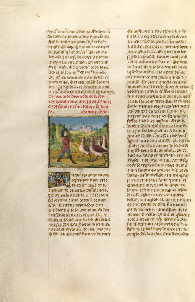 Unknown:The Companions of Diomedes Changed to Geese, Poster Print Wall Art