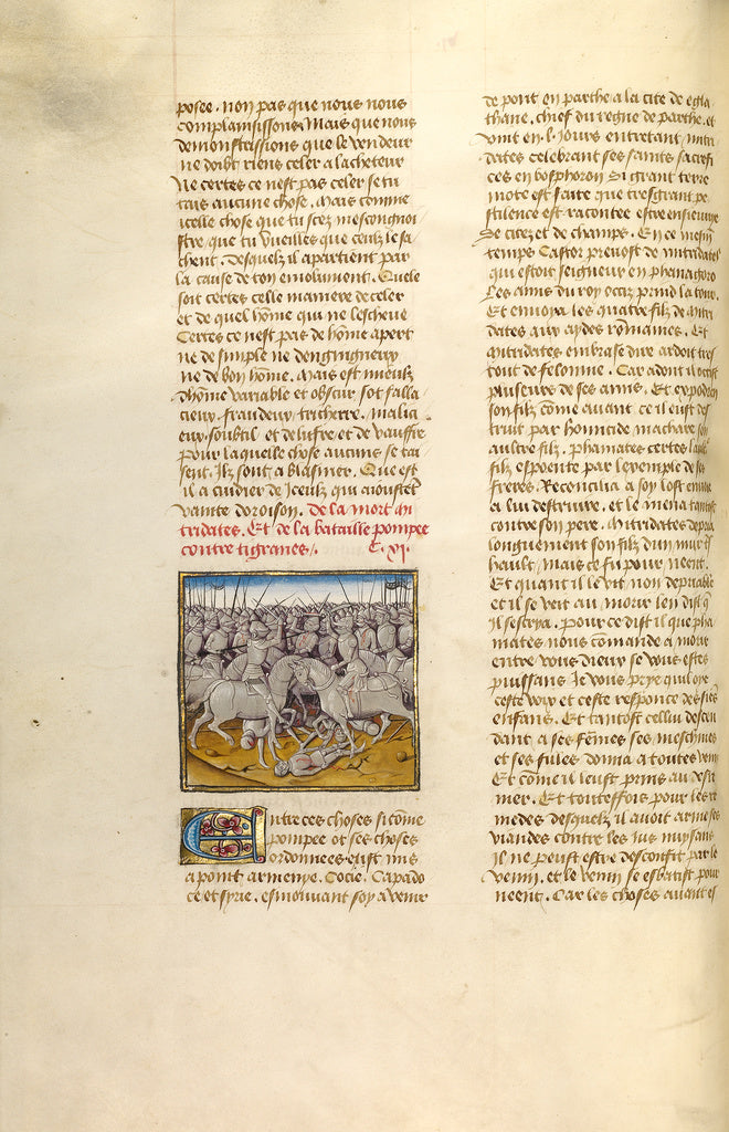 Unknown:The Battle between Pompeius and Tigranes, Poster Print Wall Art