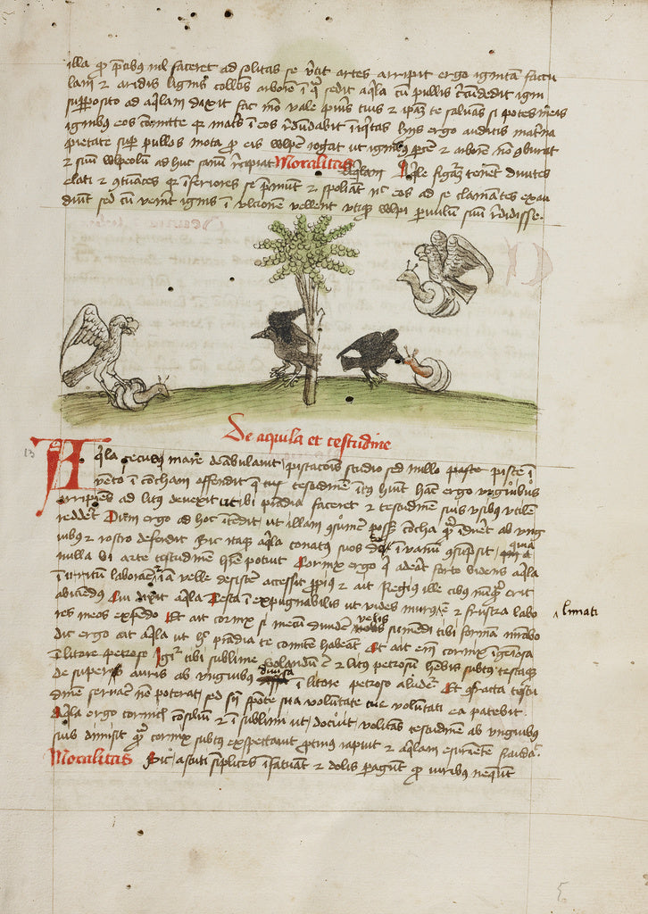 Unknown:An Eagle Seizing a Snail; A Crow Pecking at a Snail, Poster Print Wall Art
