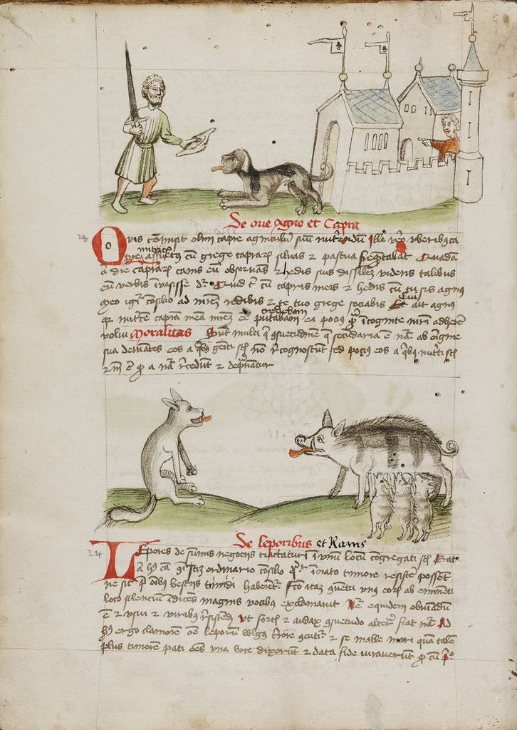 Unknown Artist:A Man with a Sword and a Dog with a Bone; A Wolf and, Poster Print Wall Art