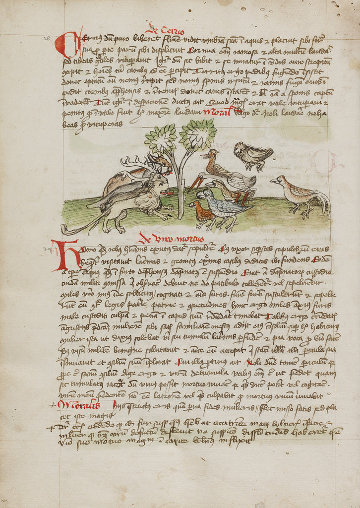 Unknown:Animals Gathered under a Tree, Poster Print Wall Art
