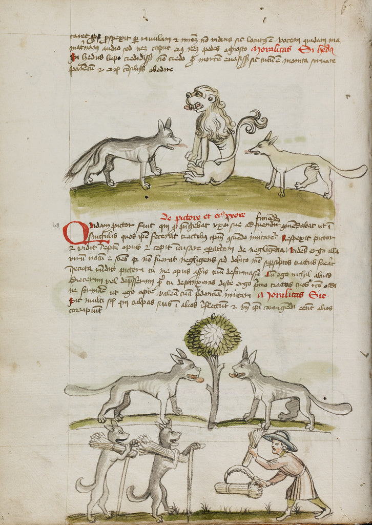 Unknown:Fox and Wolf before a Lion; Two Wolves under a Tree , Poster Print Wall Art