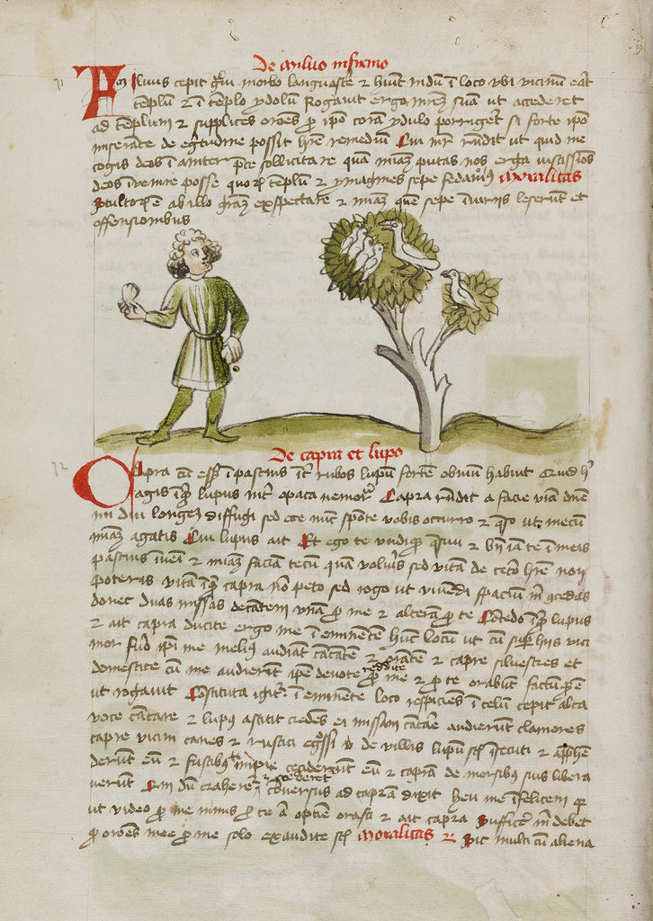 Unknown Artist:A Man Throwing at Birds Perched in a Tree, Poster Print Wall Art