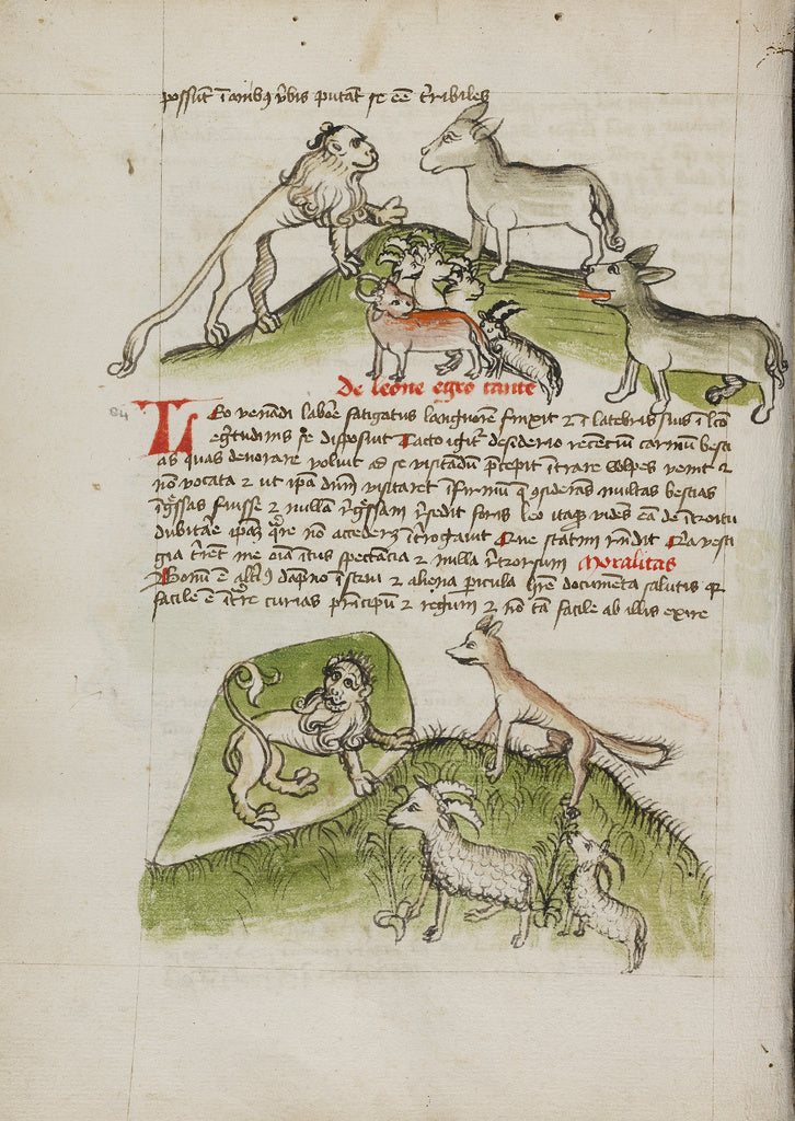 Unknown:Lions and a Donkey with Other Animals; A Lion in his, Poster Print Wall Art