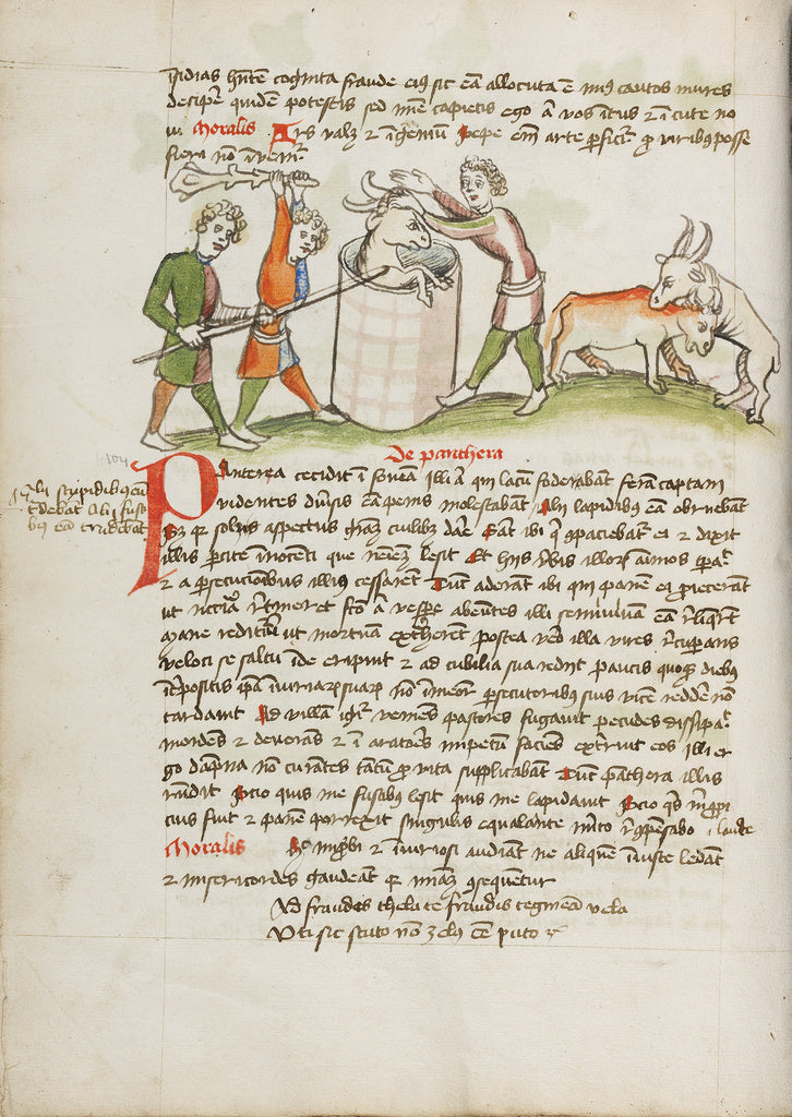 Unknown Artist:A Panther, Which Attacked a Cow, is Slain, Poster Print Wall Art