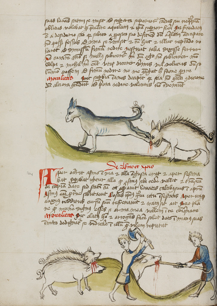 Unknown Artist:A Donkey Kicking a Wild Boar; A Pig Being Slaughtere, Poster Print Wall Art