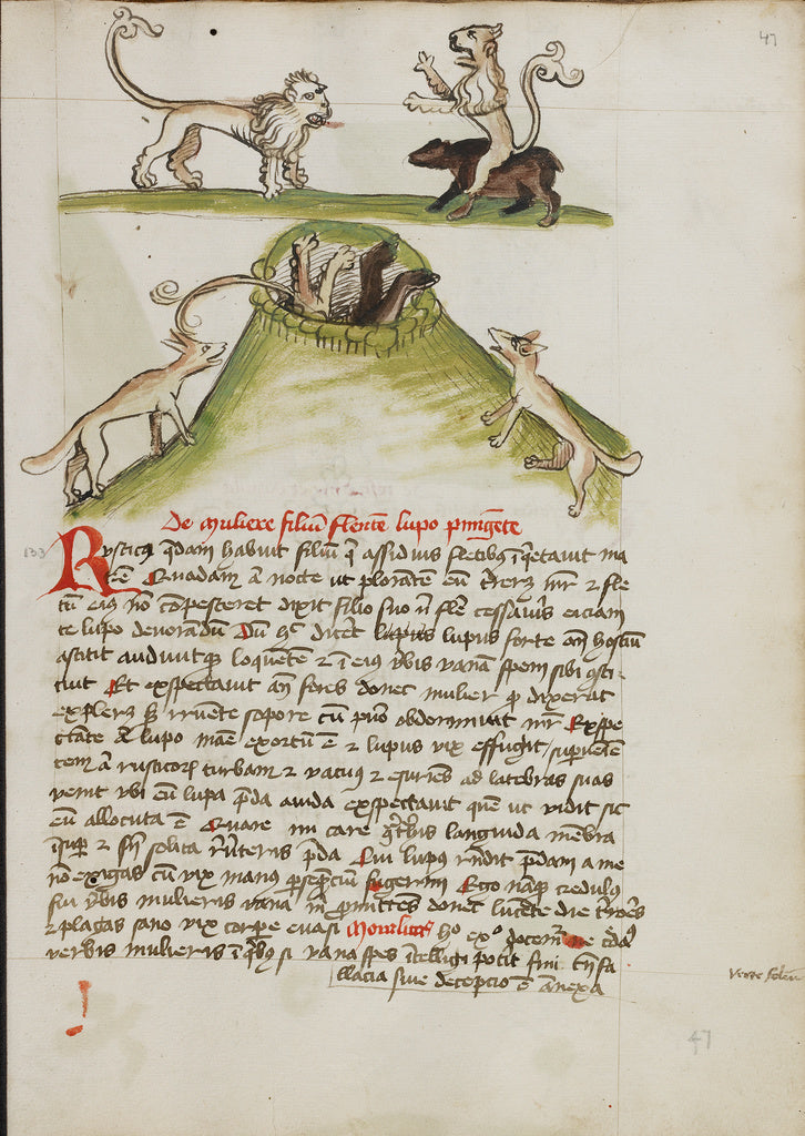 Unknown Artist:A Lion Standing on the Back of a Bear; Two Foxes in , Poster Print Wall Art