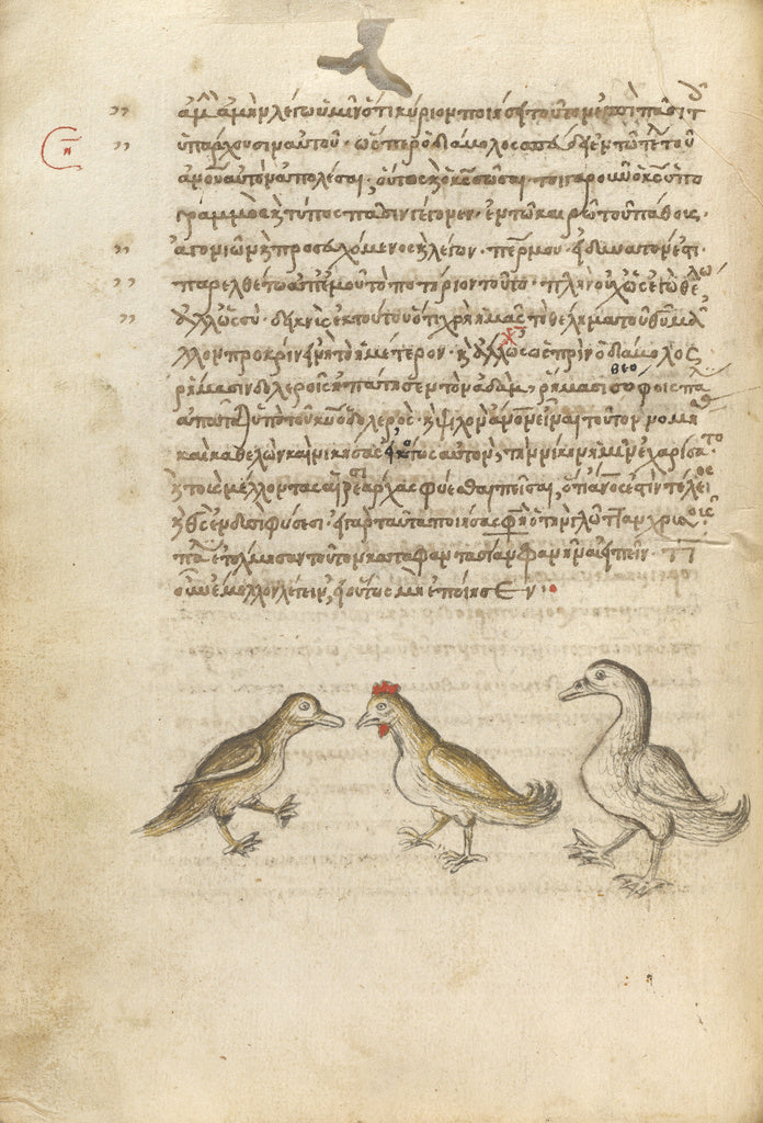 Unknown Artist:A Duck, a Rooster, and a Goose, Poster Print Wall Art