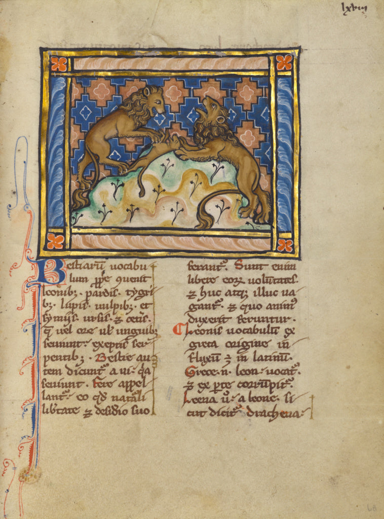 Unknown:Two Lions, Poster Print Wall Art