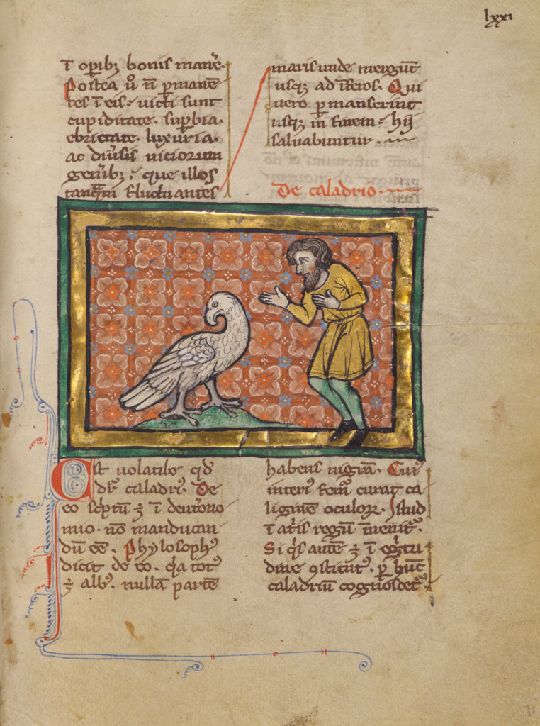 Unknown Artist:A Large Bird and a Man, Poster Print Wall Art