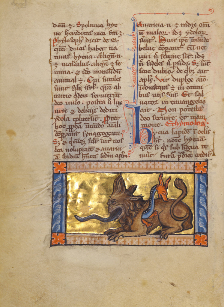 Unknown:A Crocodile and a Hydrus, Poster Print Wall Art