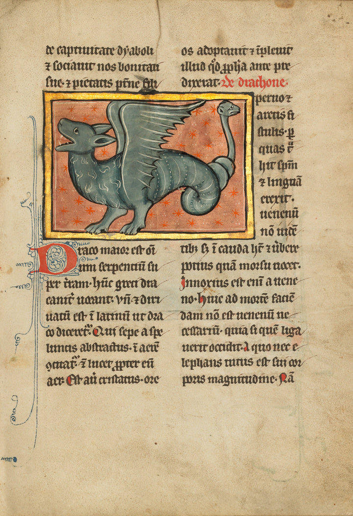 Unknown Artist:A Winged Dragon, Poster Print Wall Art