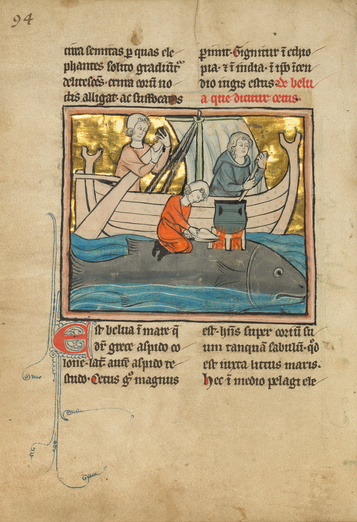 Unknown Artist:A Fisherman on the Back of a Whale, Poster Print Wall Art