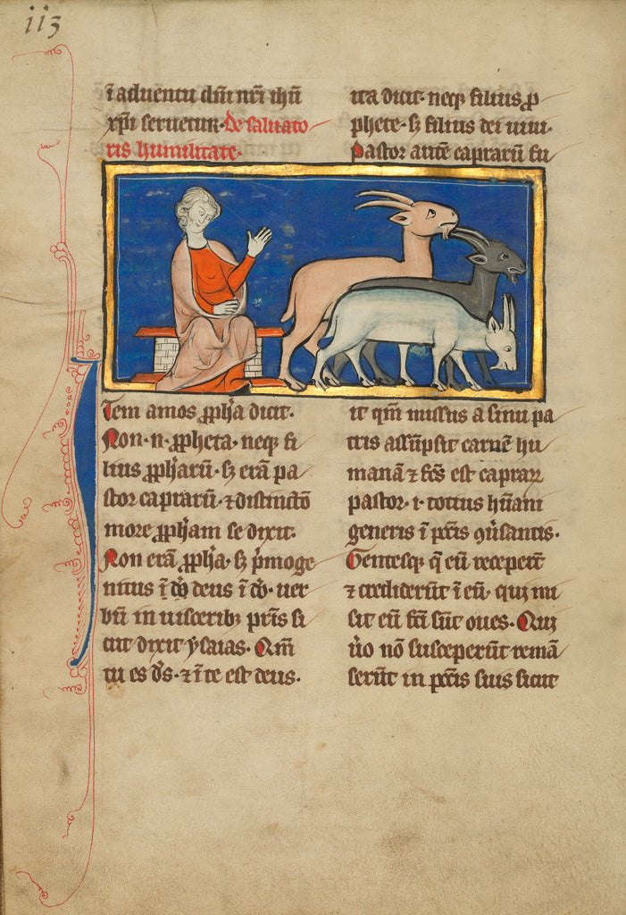 Unknown:Amos and Three Goats, Poster Print Wall Art