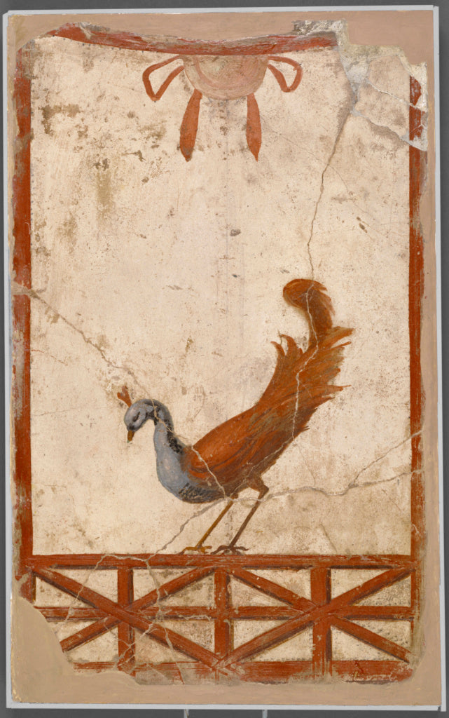 Unknown:Wall Fragment with a Peacock, Poster Print Wall Art