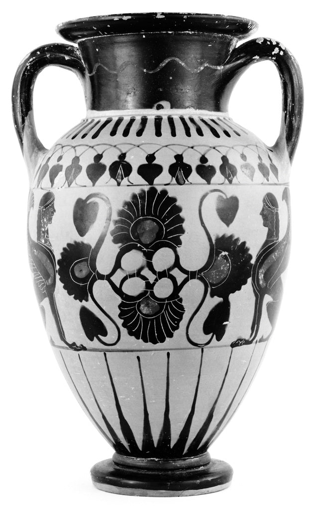 Unknown:Chalcidian Amphora, Poster Print Wall Art