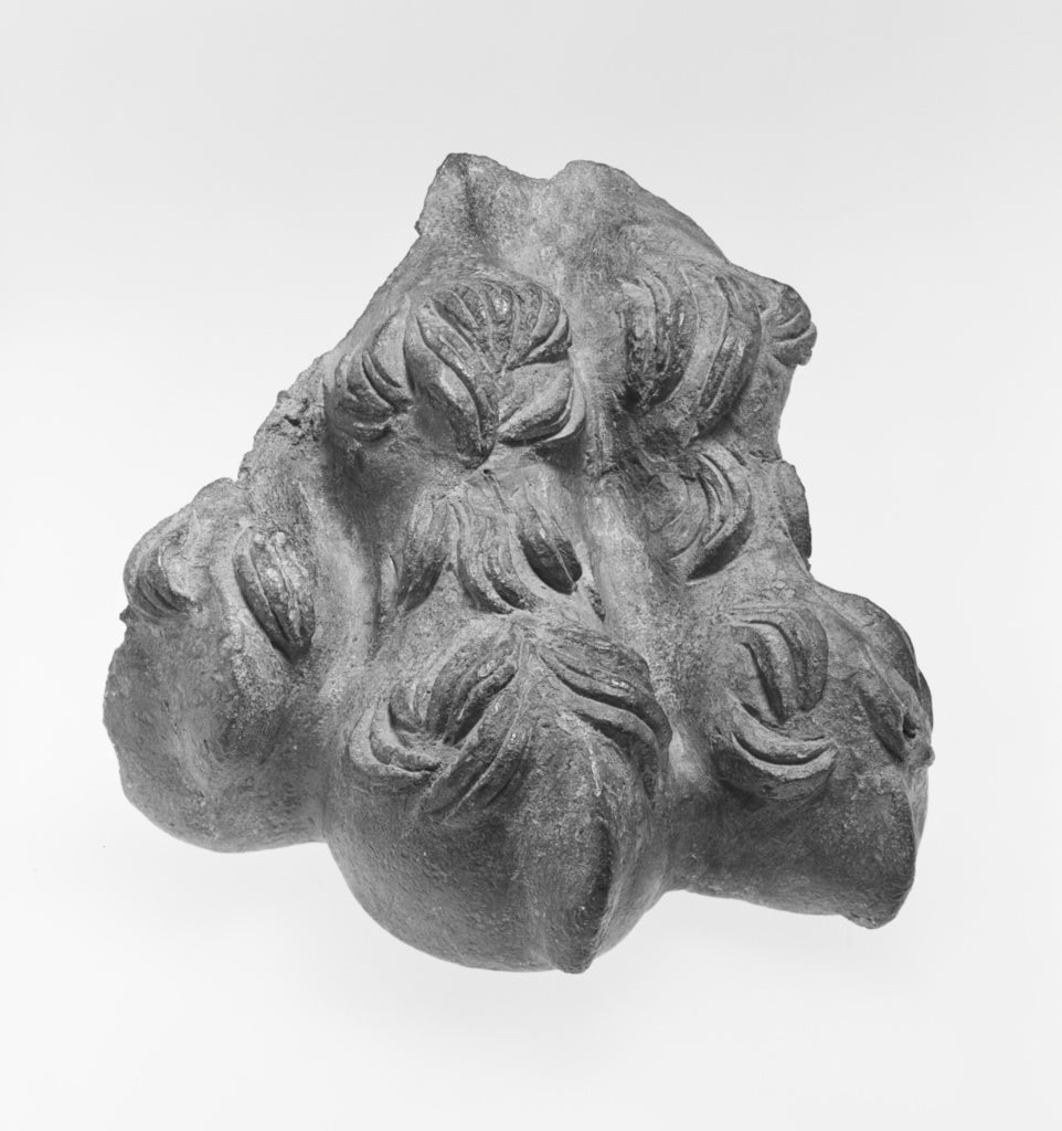 Unknown:Two Paws from Statue of a Lion, Poster Print Wall Art
