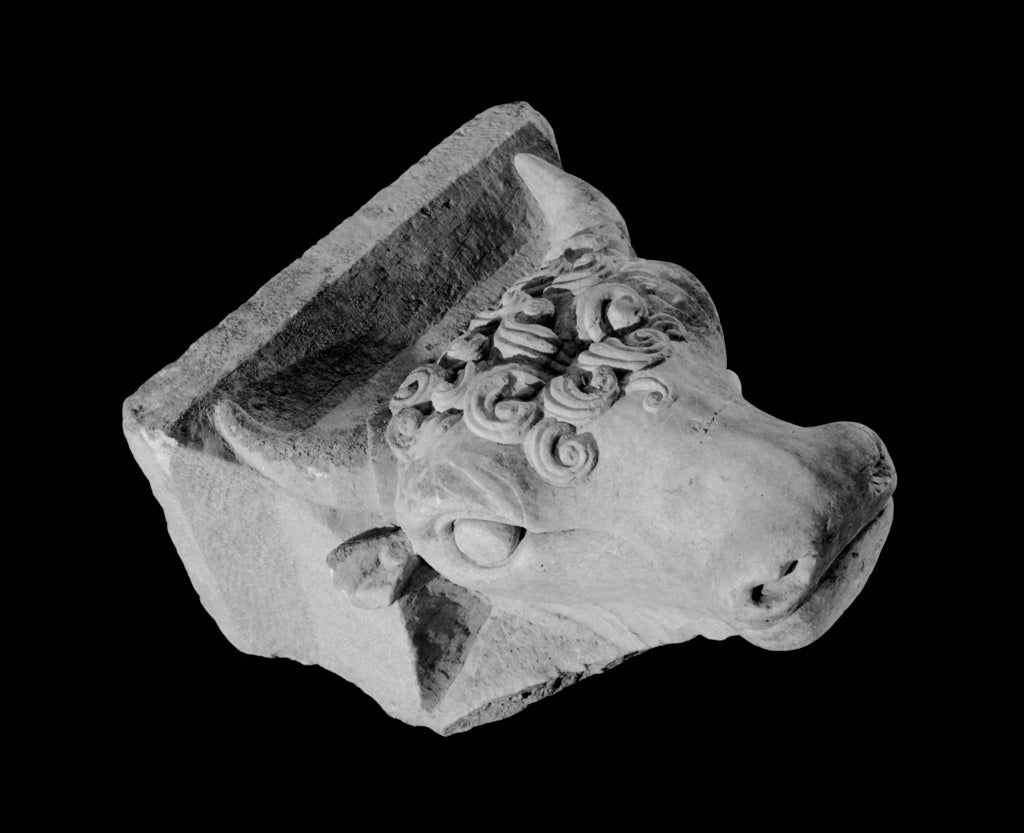 Unknown:Anta Capital with Bull's Head, Poster Print Wall Art