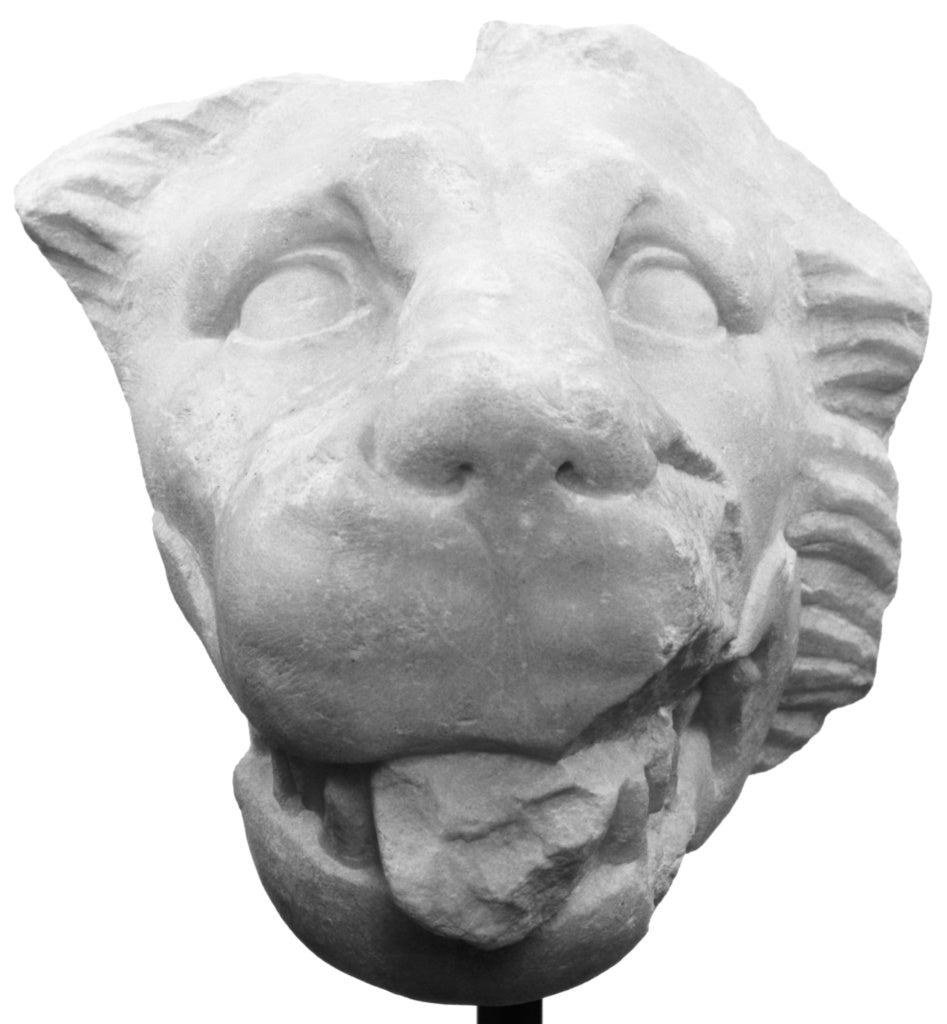 Unknown:Head of a Lion, Poster Print Wall Art