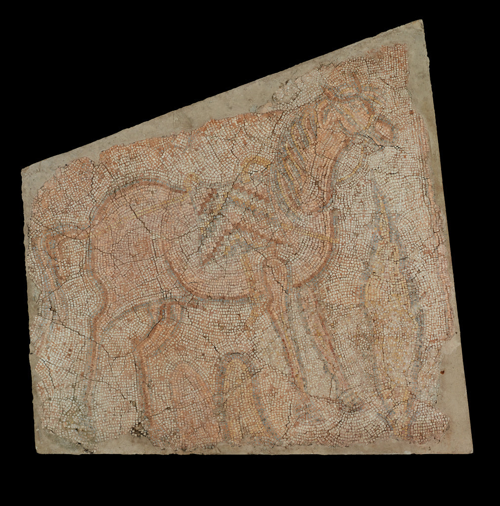 Unknown:Mosaic of a Horse with Saddle, Poster Print Wall Art