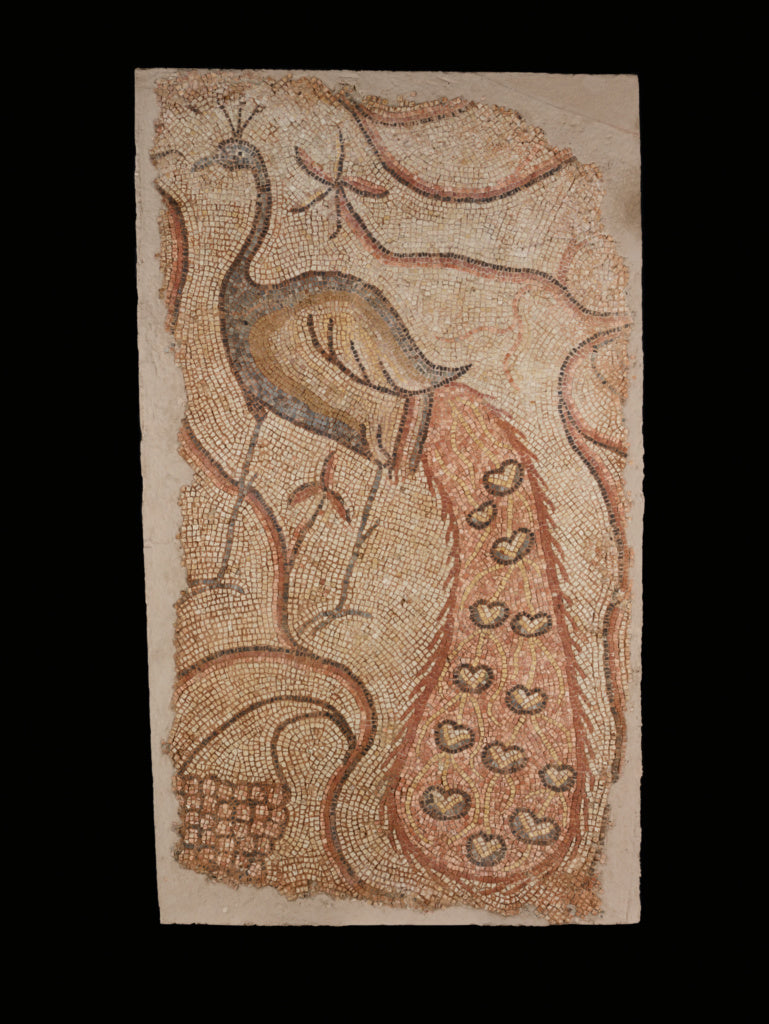 Unknown:Mosaic Fragment with Peacock Facing Left, Poster Print Wall Art