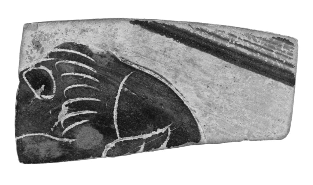 Unknown:One Fragment from an Etruscan Black-figure Vase., Poster Print Wall Art