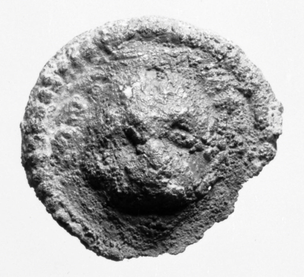 Unknown:Medallion with Lion Head, Poster Print Wall Art