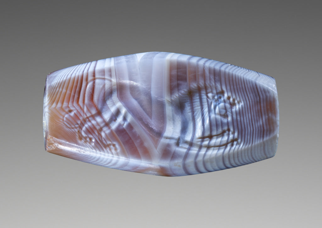 Unknown:Engraved Gem with Lioness, Poster Print Wall Art