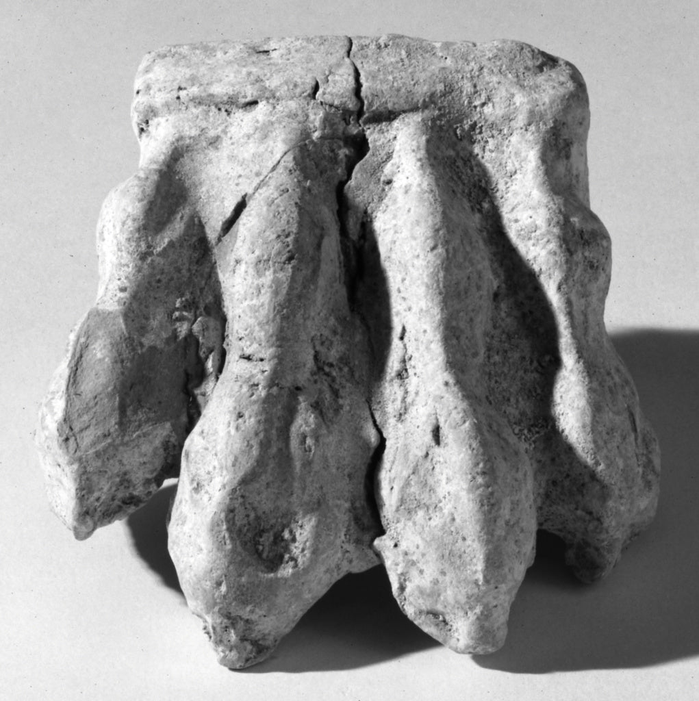 Unknown:Canosan Statuette Fragment (Lion's Paw), Poster Print Wall Art