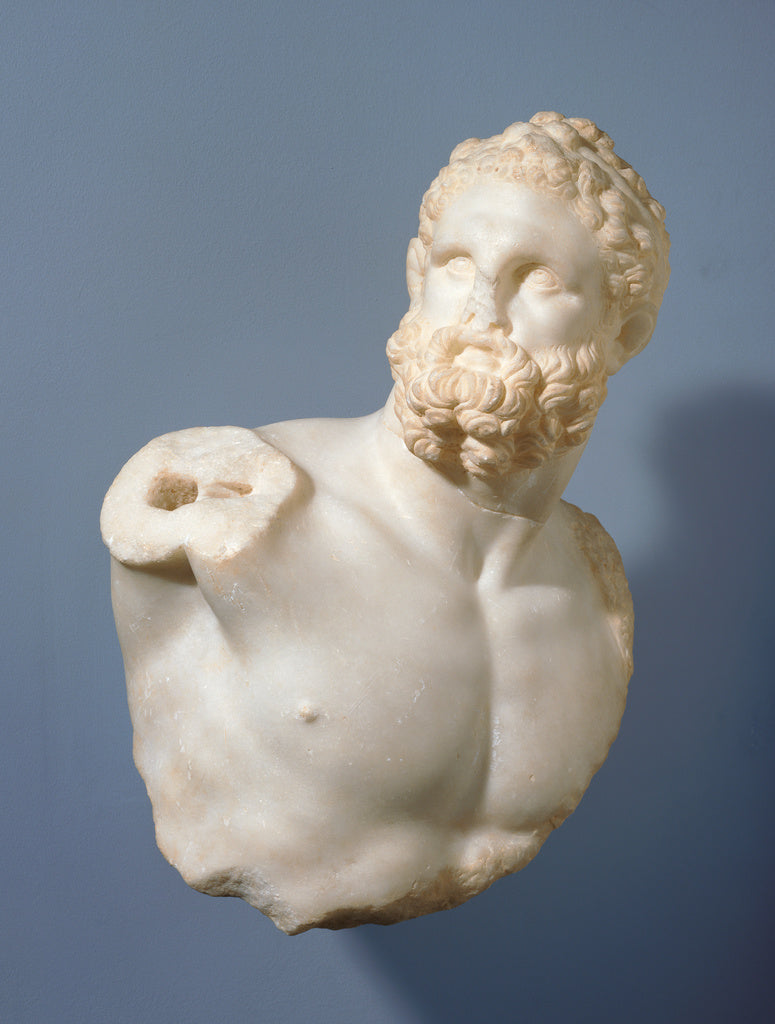 Unknown:Bust of a Pugilist, Poster Print Wall Art