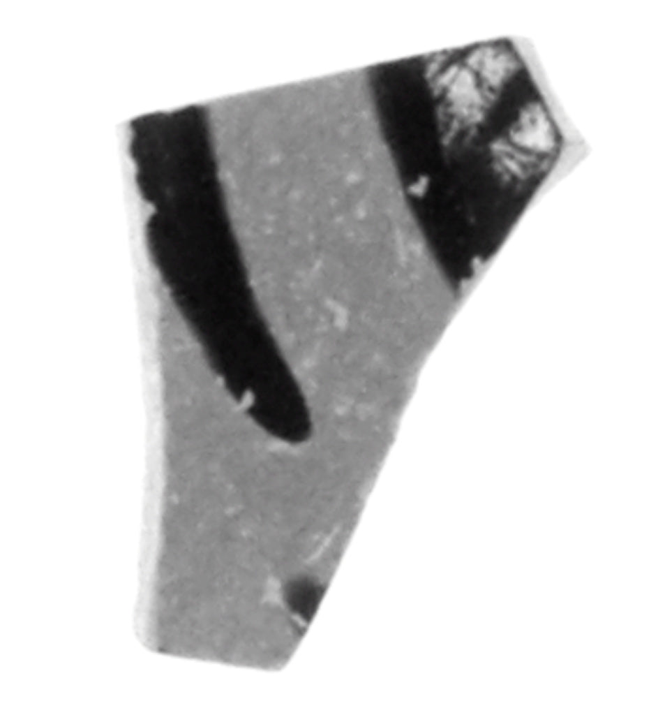Unknown:Attic Black-Figure Eye Cup Fragment, Poster Print Wall Art