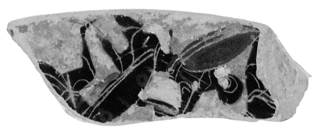 Unknown:Attic Black-Figure Dinos Fragment, Poster Print Wall Art