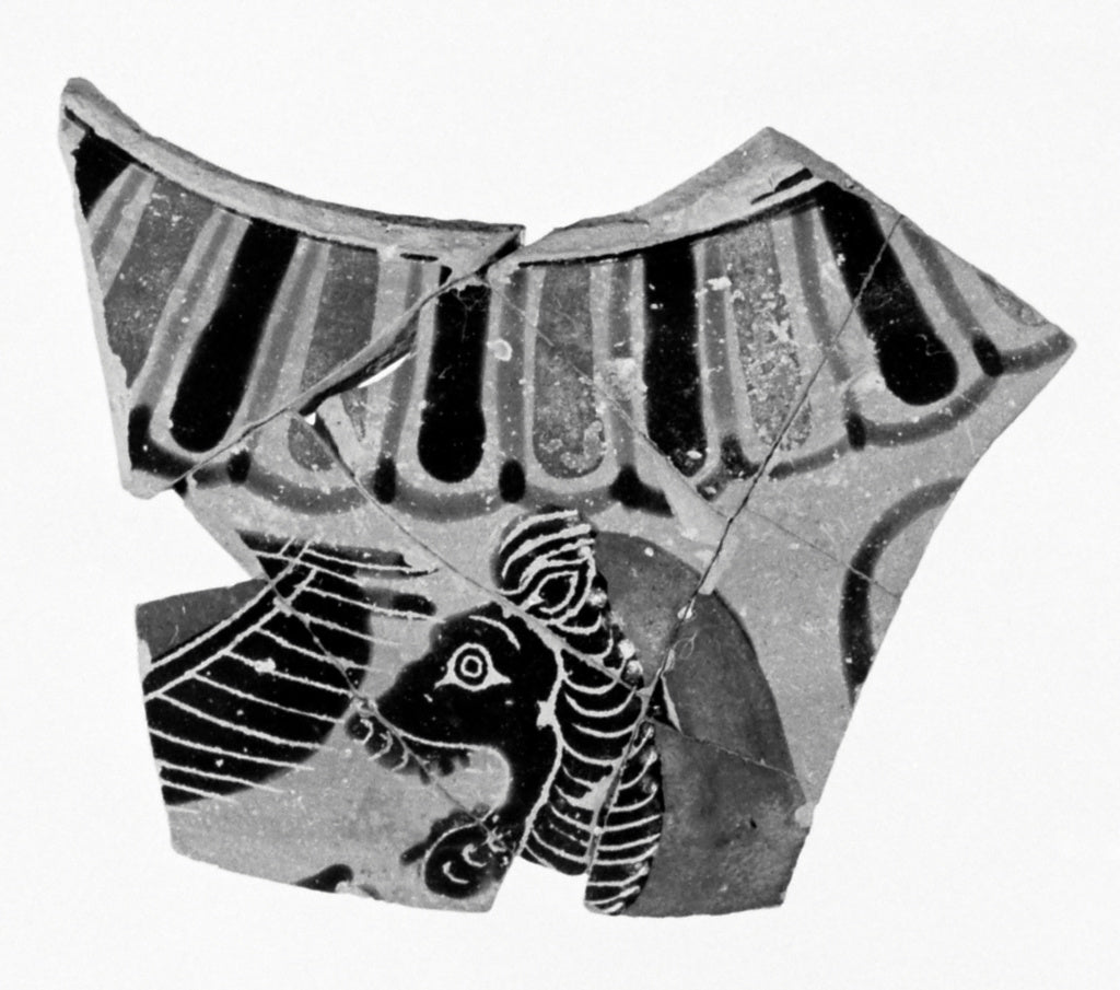 Unknown Artist:Attic Black-Figure Hydria Fragment (comprised of 8 J, Poster Print Wall Art
